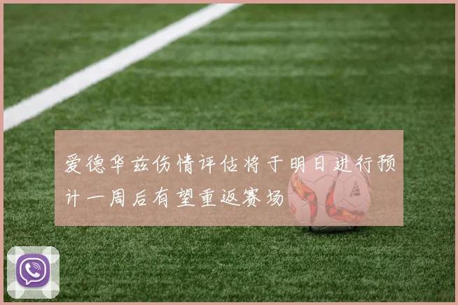 爱德华兹伤情评估将于明日进行预计一周后有望重返赛场
