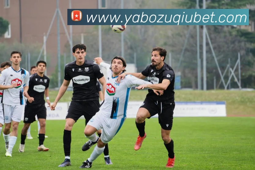 亚博体育APP 封面图